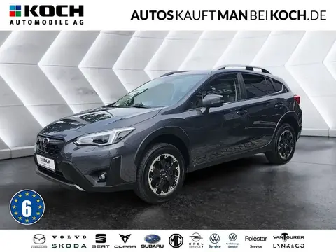 Annonce SUBARU XV Essence 2023 d'occasion 