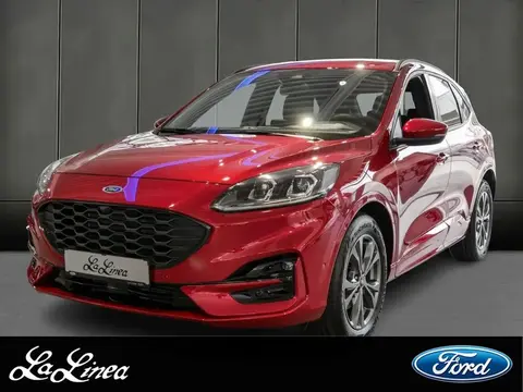 Annonce FORD KUGA Essence 2024 d'occasion 