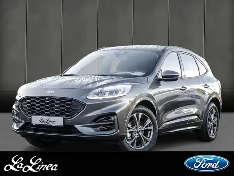 Annonce FORD KUGA Essence 2024 d'occasion 