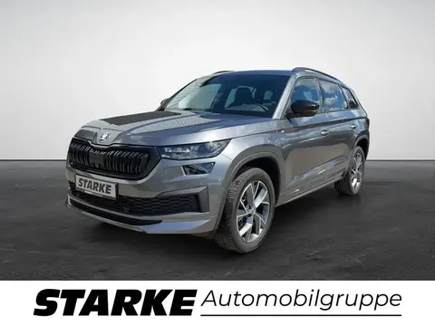 Annonce SKODA KODIAQ Diesel 2023 d'occasion 