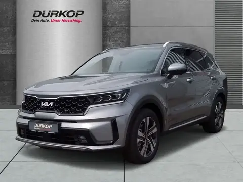 Annonce KIA SORENTO Hybride 2024 d'occasion 