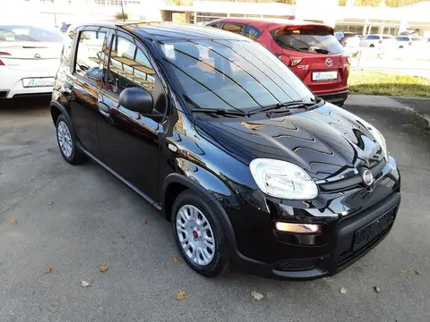 Annonce FIAT PANDA Essence 2024 d'occasion 