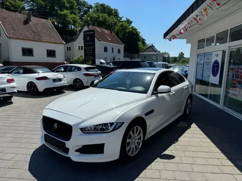 Used JAGUAR XE Diesel 2017 Ad 