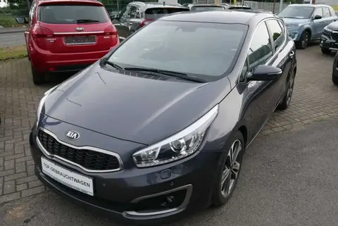 Used KIA CEED Petrol 2016 Ad 