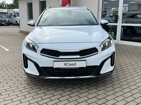 Used KIA XCEED Petrol 2024 Ad 