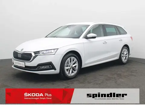 Used SKODA OCTAVIA Diesel 2023 Ad 