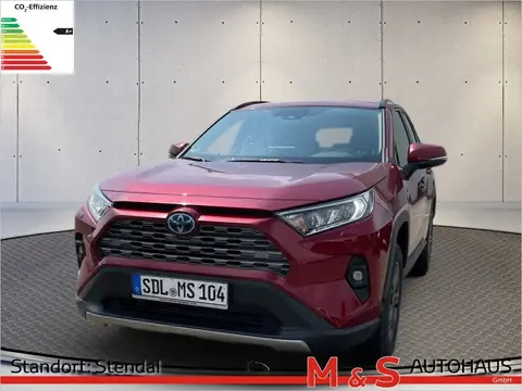 Annonce TOYOTA RAV4 Hybride 2024 d'occasion 