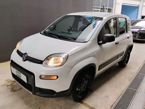 Annonce FIAT PANDA Essence 2019 d'occasion 