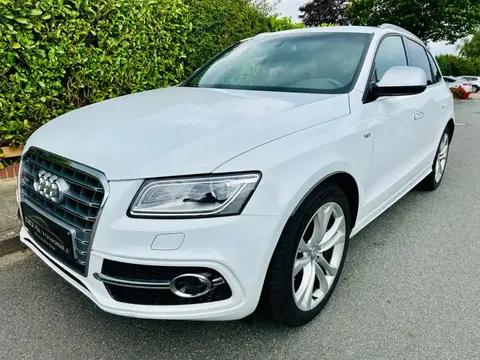 Used AUDI SQ5 Diesel 2017 Ad 