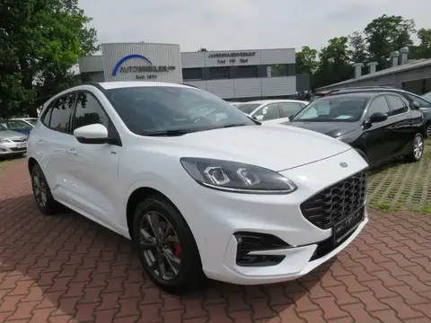 Used FORD KUGA Hybrid 2024 Ad 