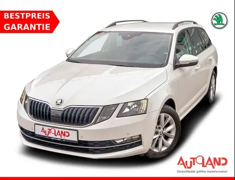 Annonce SKODA OCTAVIA Essence 2019 d'occasion 