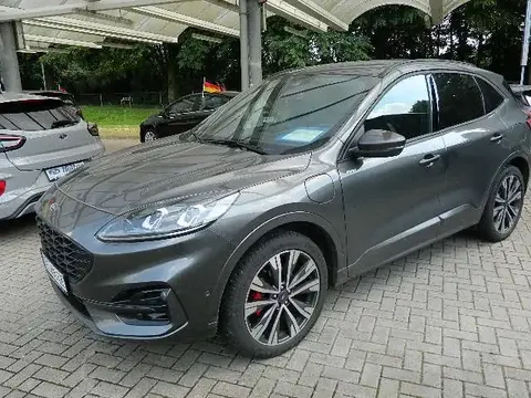 Annonce FORD KUGA Hybride 2022 d'occasion 