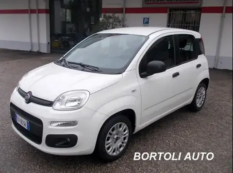 Annonce FIAT PANDA Essence 2019 d'occasion 