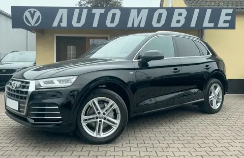 Used AUDI Q5 Diesel 2019 Ad 