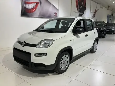 Annonce FIAT PANDA GPL 2023 d'occasion 