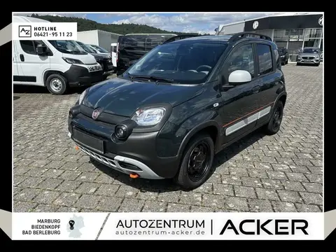 Annonce FIAT PANDA Essence 2024 d'occasion 