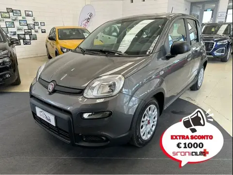 Used FIAT PANDA Hybrid 2023 Ad 