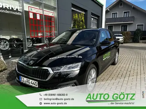 Annonce SKODA OCTAVIA Diesel 2024 d'occasion 