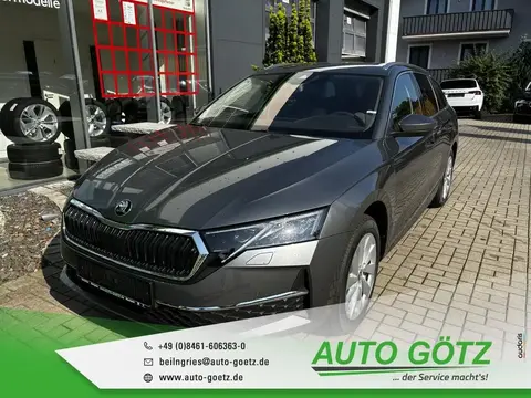 Annonce SKODA OCTAVIA Diesel 2024 d'occasion 