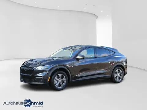 Used FORD MUSTANG Not specified 2022 Ad 