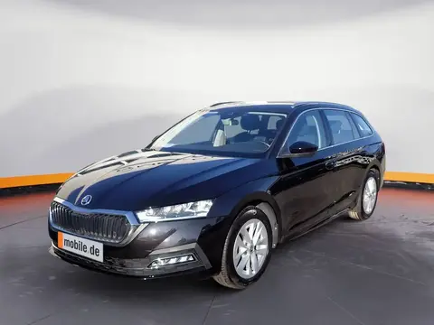 Used SKODA OCTAVIA Petrol 2022 Ad 