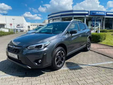 Used SUBARU XV Petrol 2023 Ad 