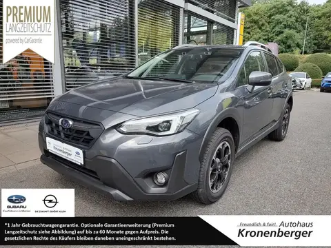 Used SUBARU XV Petrol 2023 Ad 