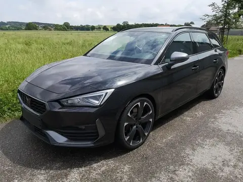 Used CUPRA LEON Petrol 2024 Ad 