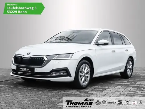 Annonce SKODA OCTAVIA Diesel 2023 d'occasion 