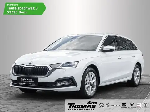 Annonce SKODA OCTAVIA Diesel 2023 d'occasion 