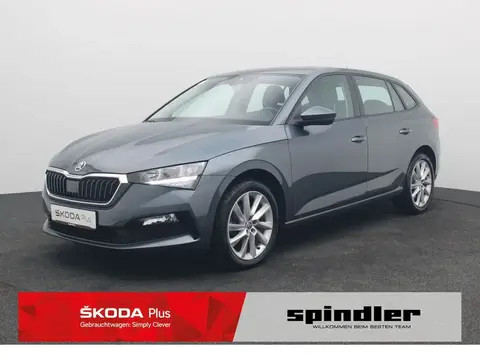 Annonce SKODA SCALA Diesel 2020 d'occasion 