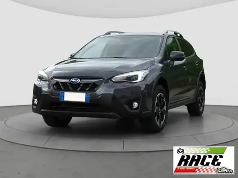 Annonce SUBARU XV Essence 2023 d'occasion 