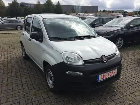 Annonce FIAT PANDA Essence 2021 d'occasion 