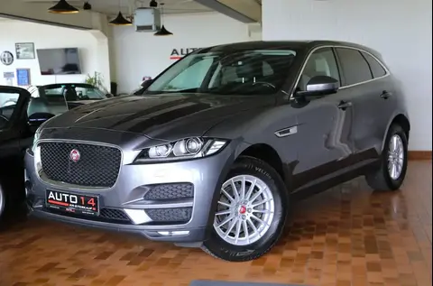 Used JAGUAR F-PACE Diesel 2016 Ad 