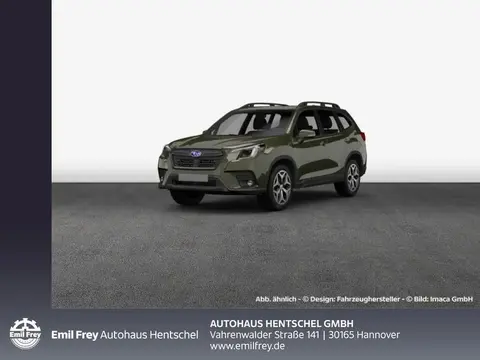 Annonce SUBARU FORESTER Hybride 2024 d'occasion 