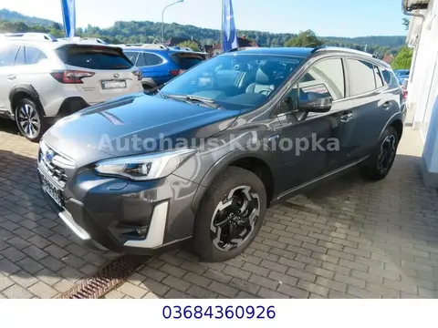 Annonce SUBARU XV Hybride 2023 d'occasion 