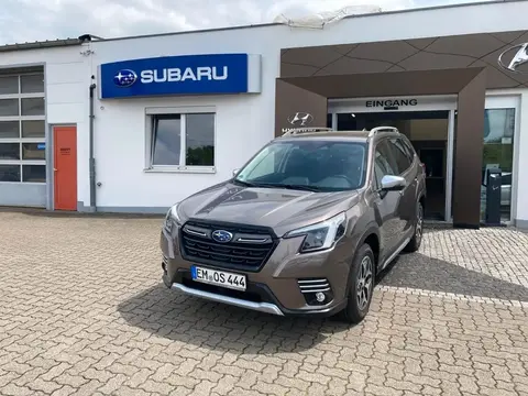 Annonce SUBARU FORESTER Essence 2023 d'occasion 