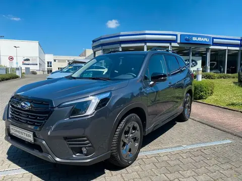 Used SUBARU FORESTER Hybrid 2023 Ad 