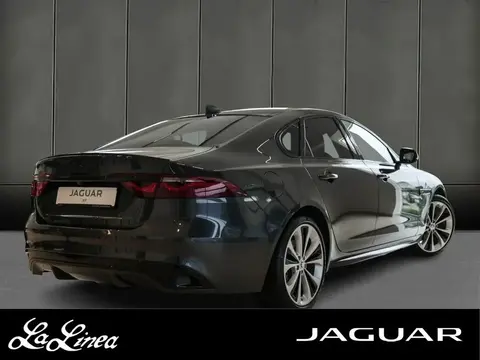 Used JAGUAR XF Diesel 2024 Ad Germany