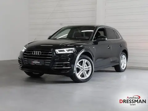 Used AUDI Q5 Hybrid 2021 Ad 