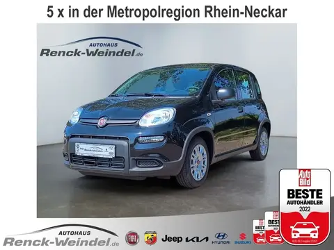 Used FIAT PANDA Hybrid 2024 Ad 