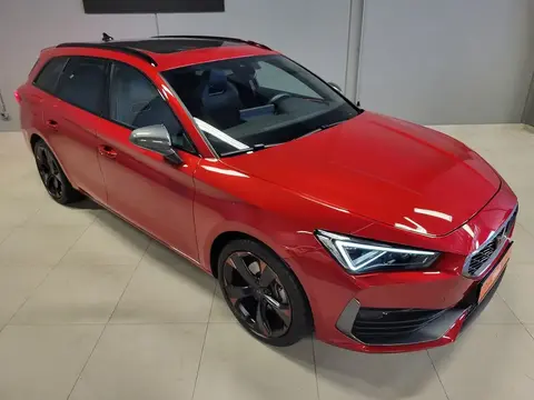 Annonce CUPRA LEON Essence 2023 d'occasion 