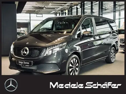 Annonce MERCEDES-BENZ EQV Non renseigné 2023 d'occasion 