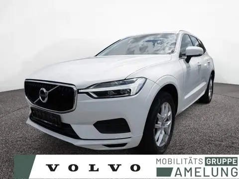 Used VOLVO XC60 Diesel 2020 Ad 