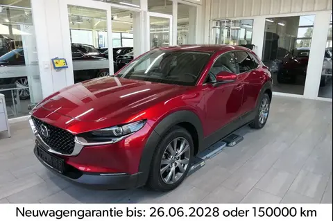 Used MAZDA CX-30 Petrol 2022 Ad 