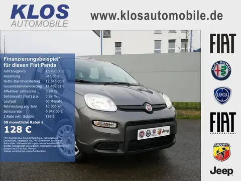 Annonce FIAT PANDA Essence 2023 d'occasion 