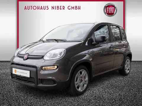 Used FIAT PANDA Petrol 2024 Ad 