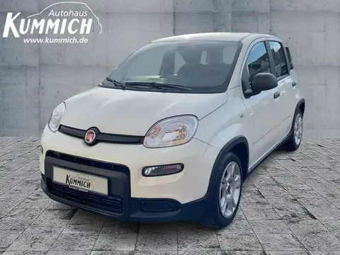 Used FIAT PANDA Petrol 2024 Ad 