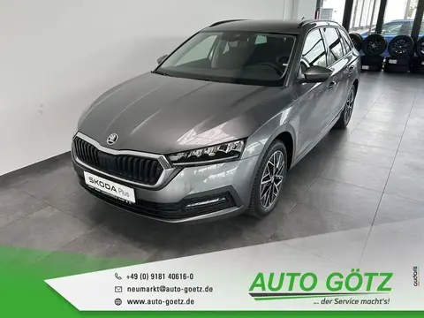 Used SKODA OCTAVIA Petrol 2023 Ad 