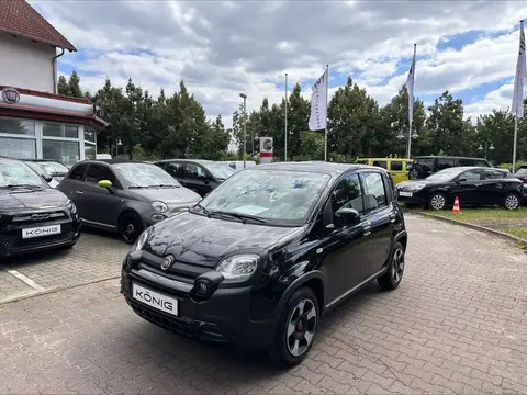 Used FIAT PANDA Petrol 2023 Ad 